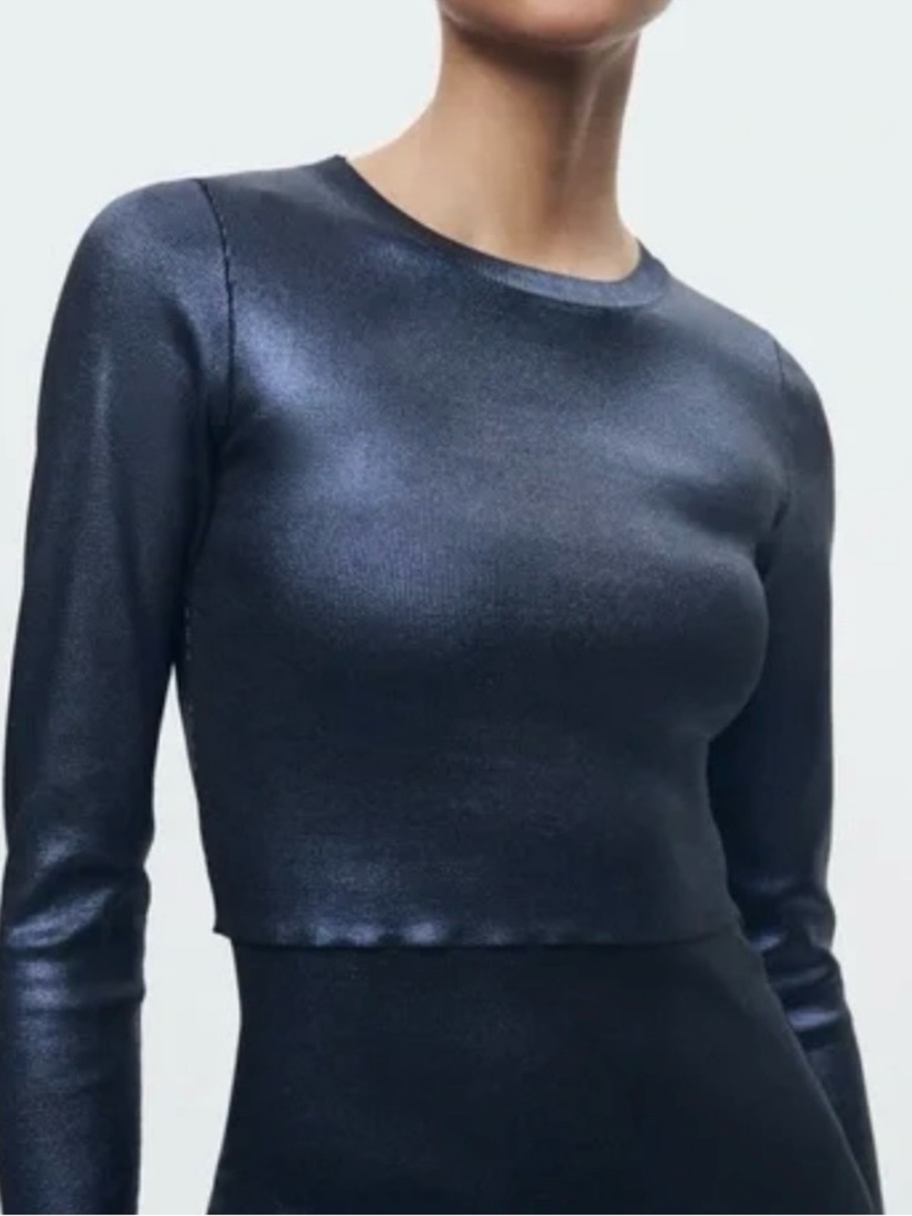 ZARA Shimmer Long-Sleeve Crew Neck Crop Top NWT